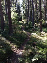 norrby skog ekerö